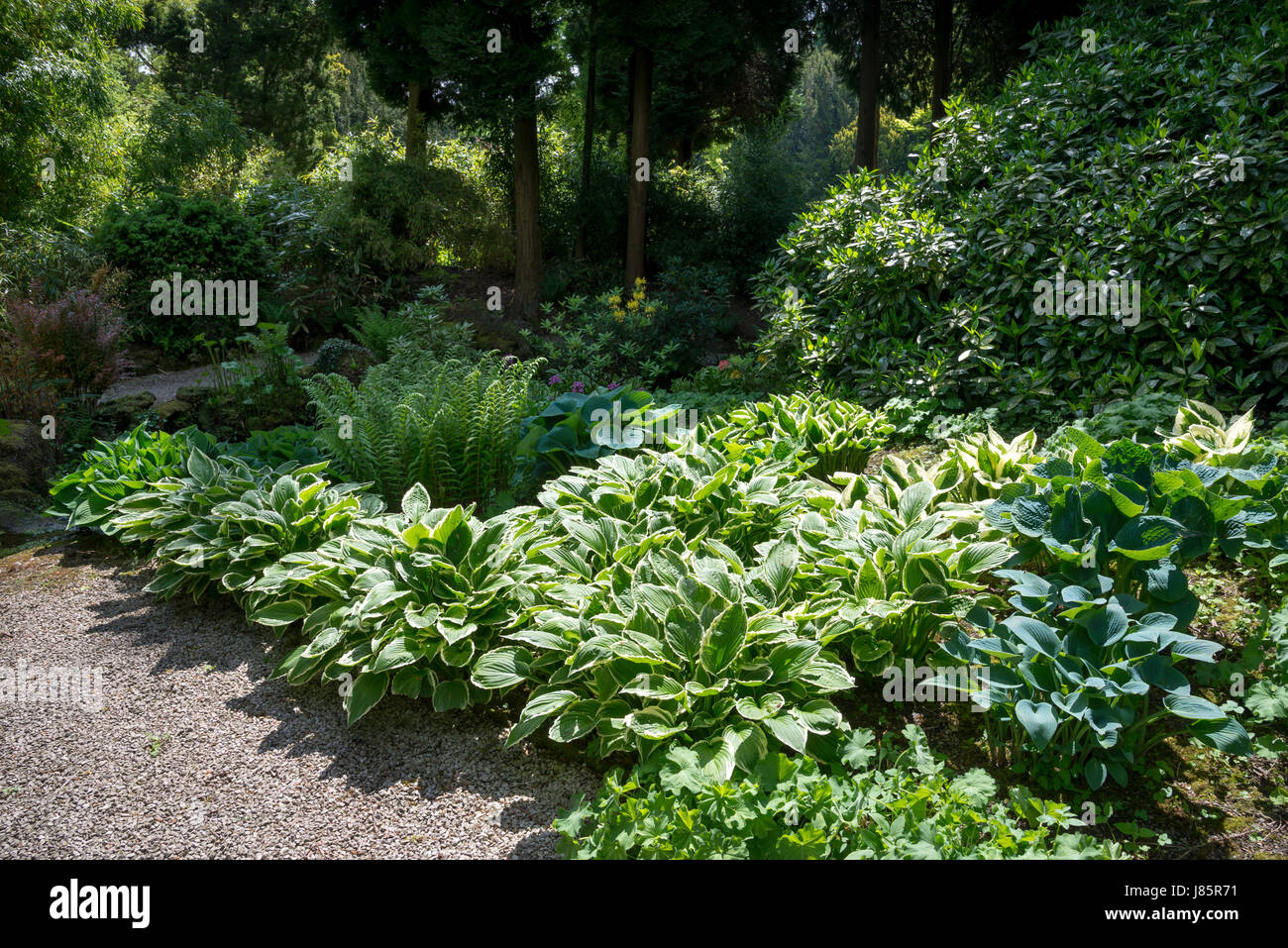 Les jardins de l'hôtel de Thornbridge près de Great Longstone, Derbyshire, Angleterre. Banque D'Images