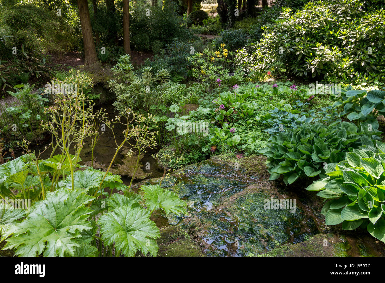 Les jardins de l'hôtel de Thornbridge près de Great Longstone, Derbyshire, Angleterre. Banque D'Images