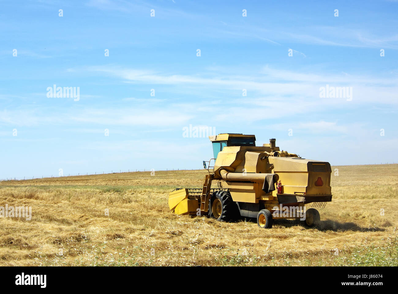La récolte des céréales d'agriculture l'agriculture céréalière jaune faux à cultiver la nourriture de la moissonneuse-batteuse Banque D'Images