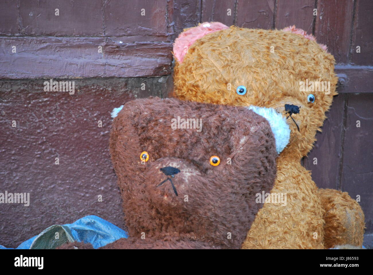 Ours en peluche jouet rag-enfance marché aux puces juste teddies ours en peluche jouet rag-fair Banque D'Images