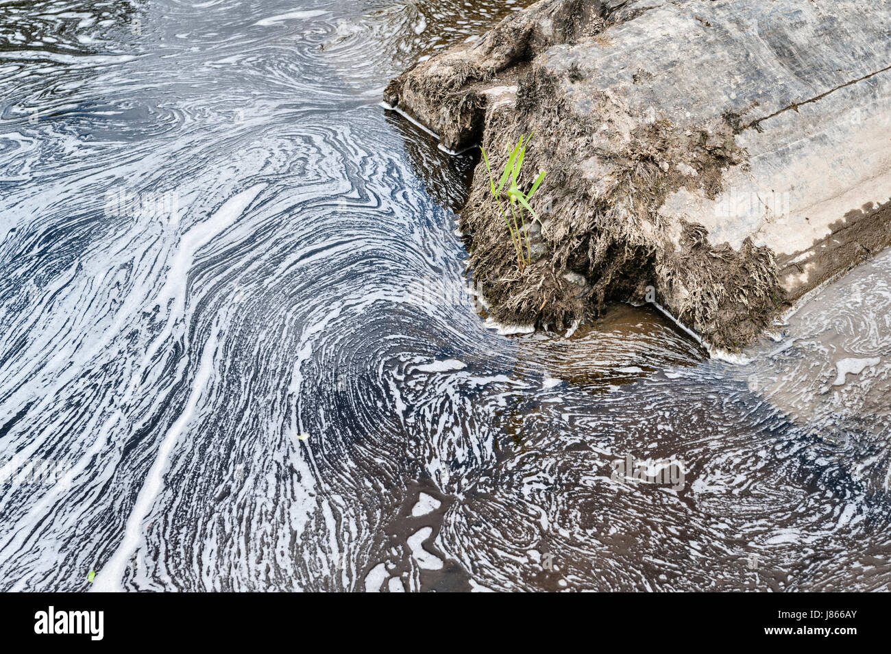 La pollution dans la rivière Teifi, Pays de Galles, Royaume-Uni Banque D'Images