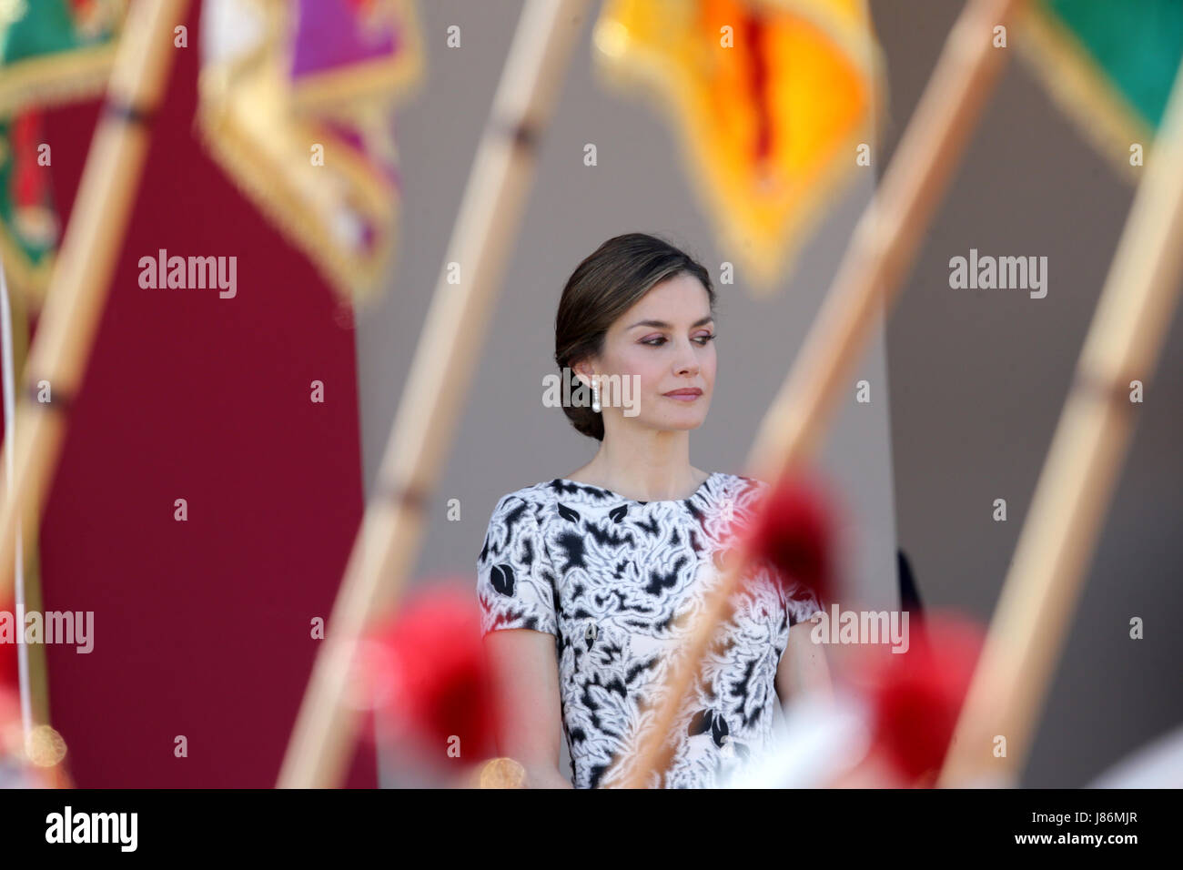 Reine Letizia d'Espagne au cours de la Journée des Forces armées nationales de 2017 à Guadalajara, le samedi 27 mai, 2017. Banque D'Images