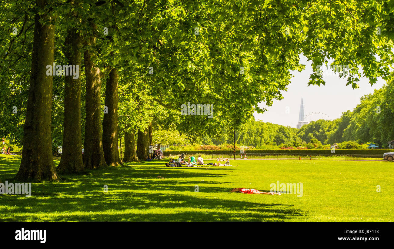 Vue vers l'Est des jardins de Kensington, Londres avec le London Eye et le fragment dans l'arrière-plan. Les gens se détendre sur une journée ensoleillée. Banque D'Images