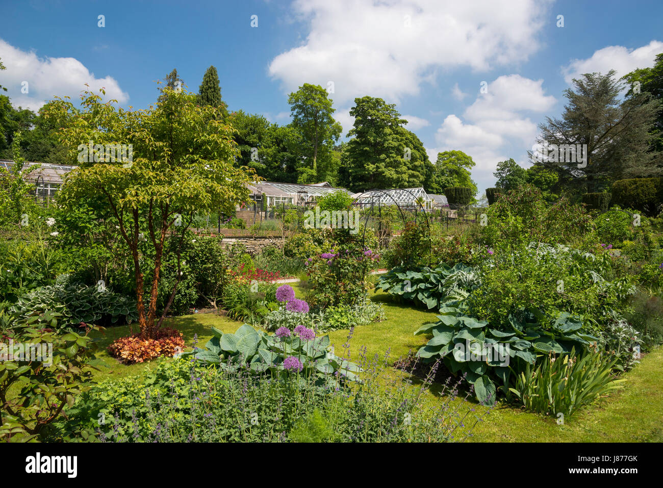 Terrasse parfumée à Thornbridge hall gardens près de Great Longstone, Derbyshire, Angleterre. Banque D'Images