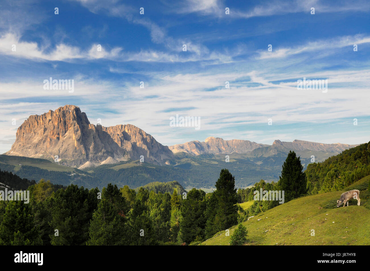 Montagnes, le Tyrol du sud, sommet, point culminant, sommet, monter, monter, monter, monter, Banque D'Images