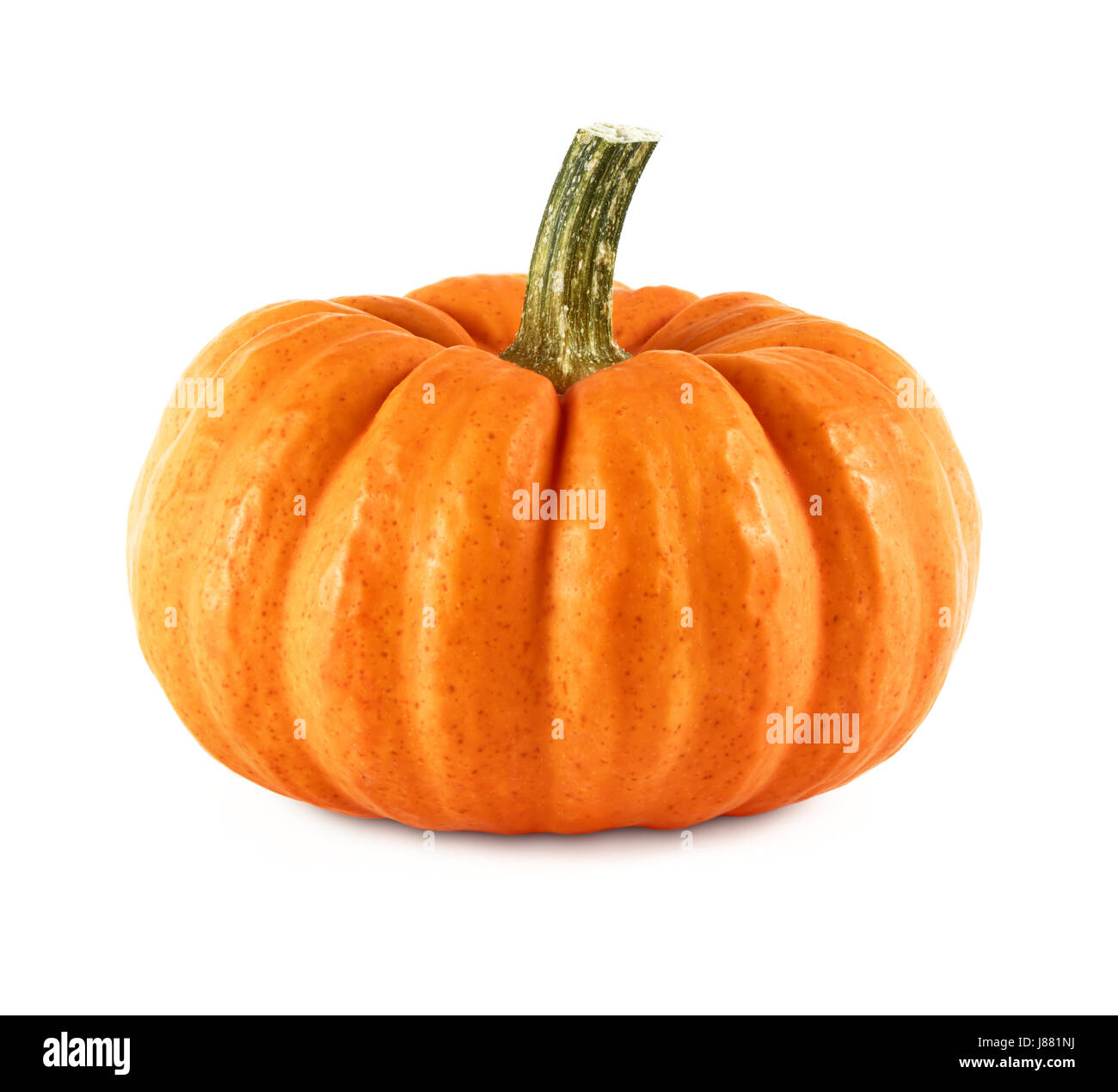 Blank, européen, du Caucase, de légumes, d'halloween, la citrouille, orange, de l'autre, Banque D'Images