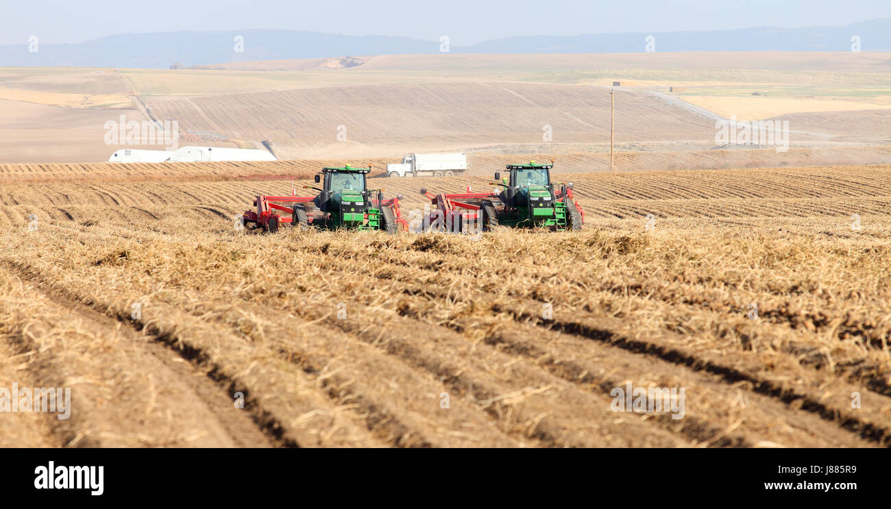 Un bras d'arrosage système d'arrosage d'un champ de céréales dans les champs fertiles de l'Idaho, avec le Teton de montagnes en arrière-plan. Banque D'Images