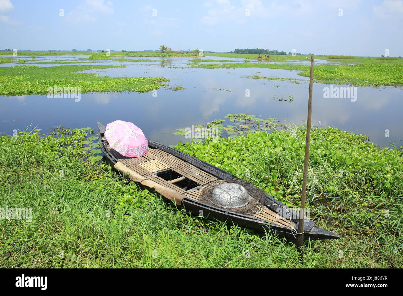 Vue de l'Arial Beel, un grand plan d'eau de 136 kilomètres carrés, situé au sud de Dhaka en Dhaleshwari entre Padma et rivière. Sreenagar, Munshi Banque D'Images