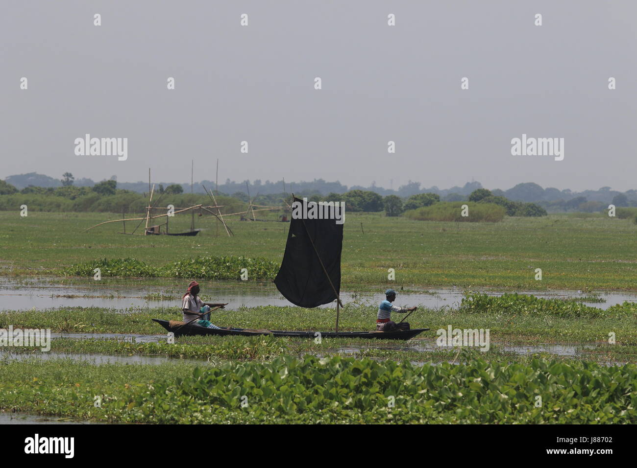 Vue de l'Arial Beel, un grand plan d'eau de 136 kilomètres carrés, situé au sud de Dhaka en Dhaleshwari entre Padma et rivière. Sreenagar, Munshi Banque D'Images