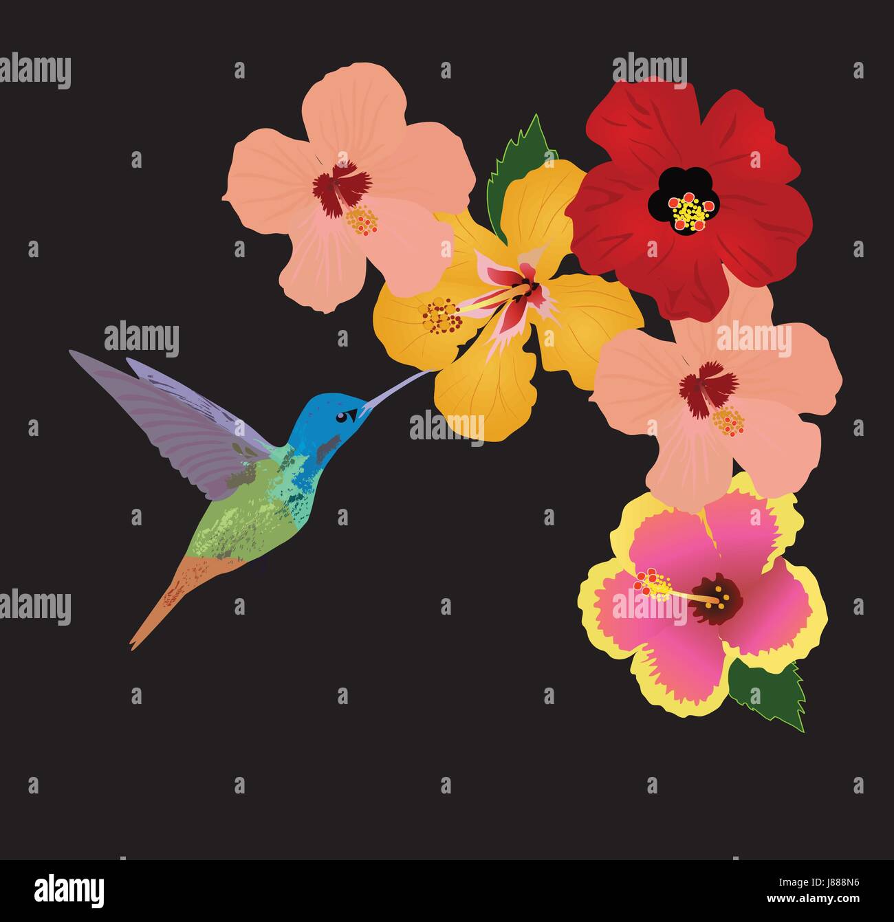 Illustration vecteur de fond floral avec des fleurs tropicales, des colibris Illustration de Vecteur