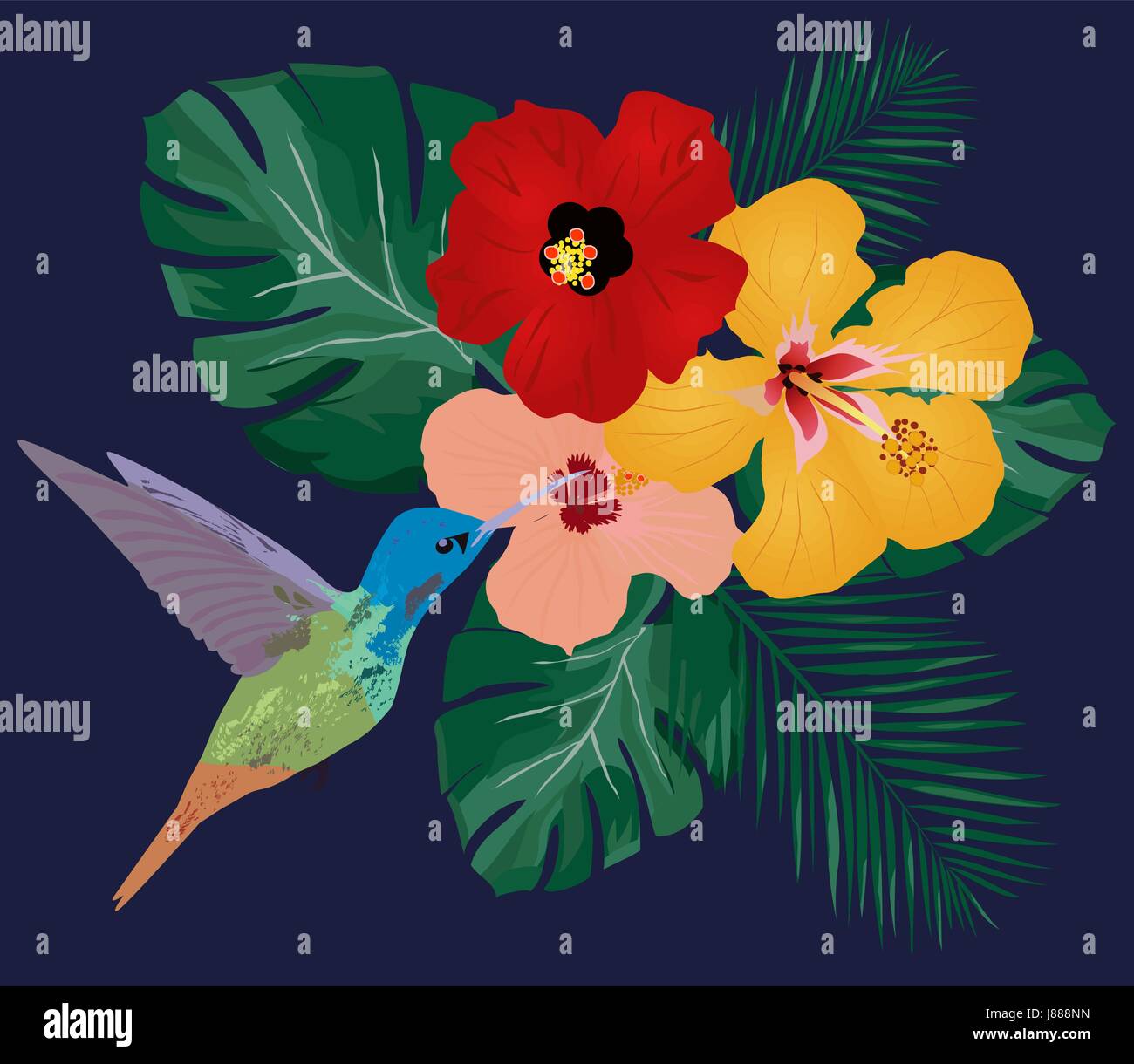 Illustration vecteur de fond floral avec des fleurs tropicales, des colibris Illustration de Vecteur