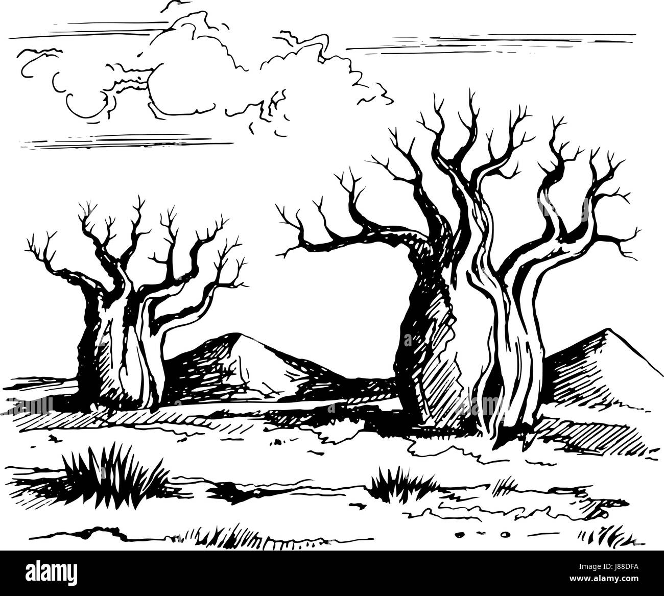 Paysage de l'Australie avec les baobabs Illustration de Vecteur