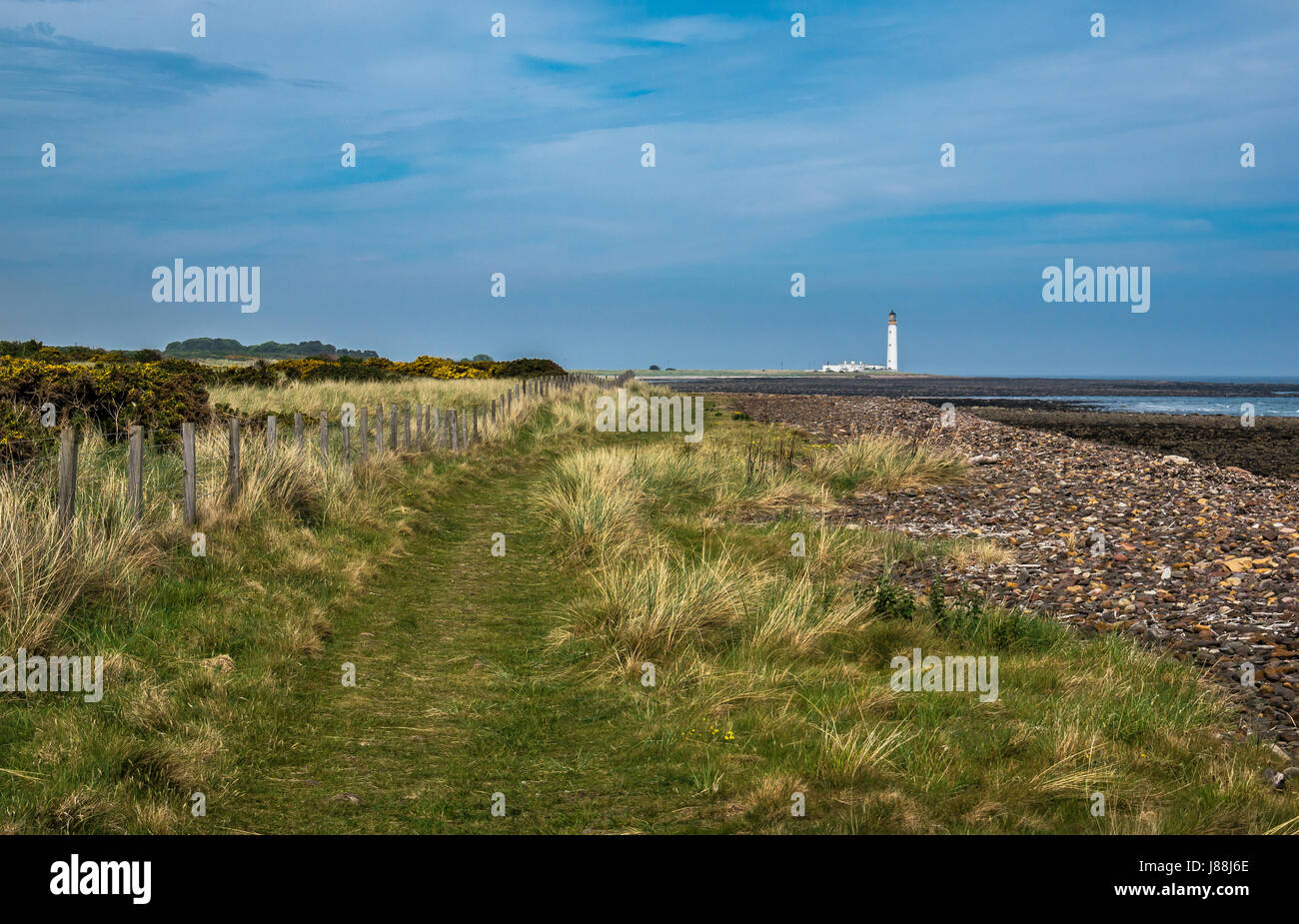 Nid de granges phare distance, John Muir Chemin chemin côtier, East Lothian, Ecosse, Royaume-Uni le jour d'été avec ciel bleu Banque D'Images