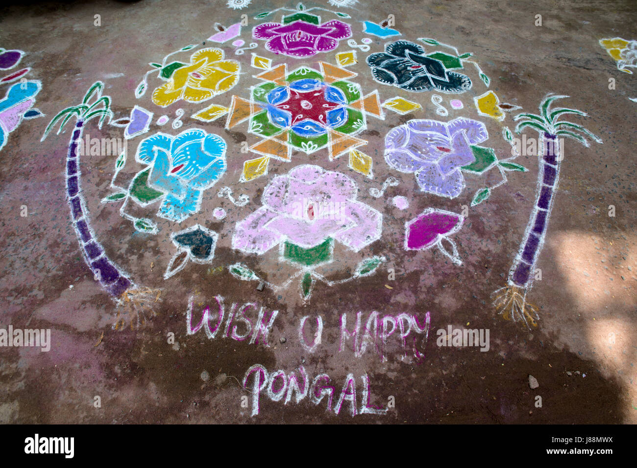 Un dessin à la craie de couleur orne le sol à l'extérieur d'une maison, représentant des éléments de récolte, dans le cadre de la célébration du festival Pongal dans Tiruvannamal Banque D'Images
