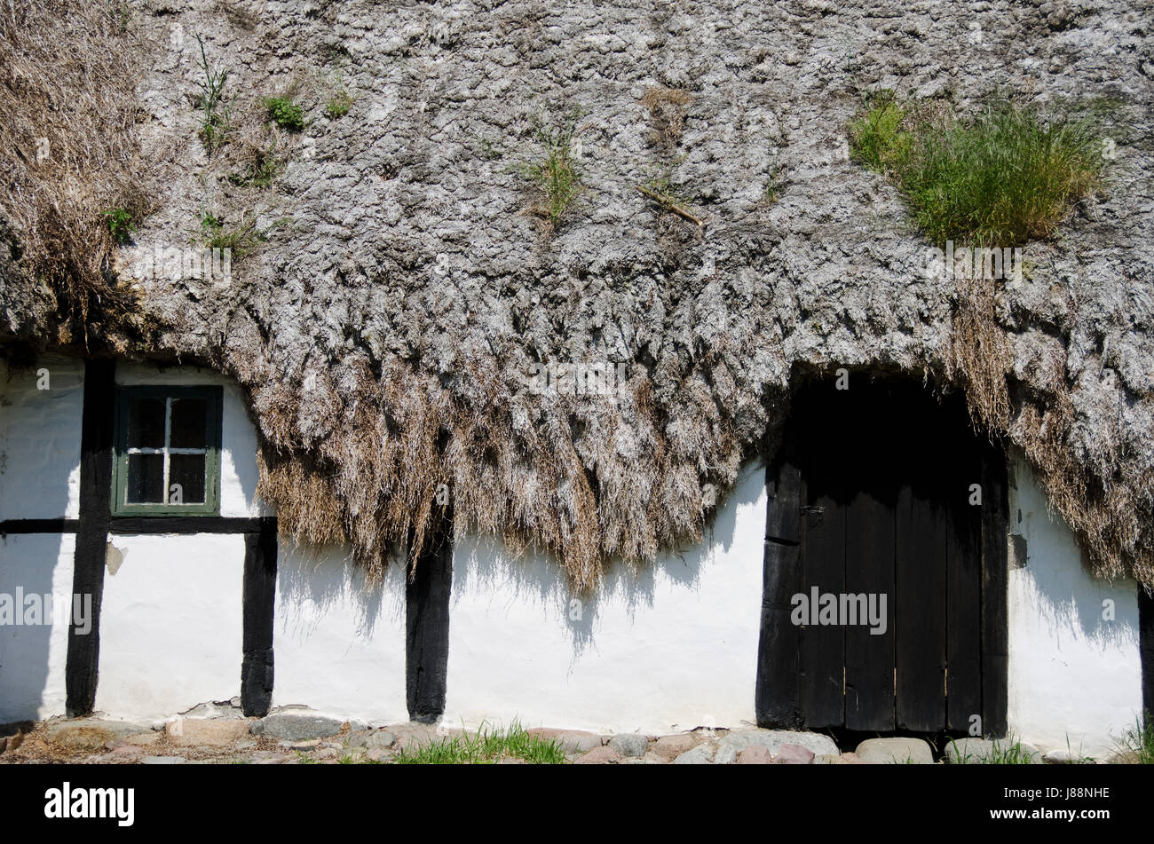 Bâtiment, maison, porte, vieux, l'eau salée, de chaume, de la mer, l'océan, l'eau, prairie, Banque D'Images