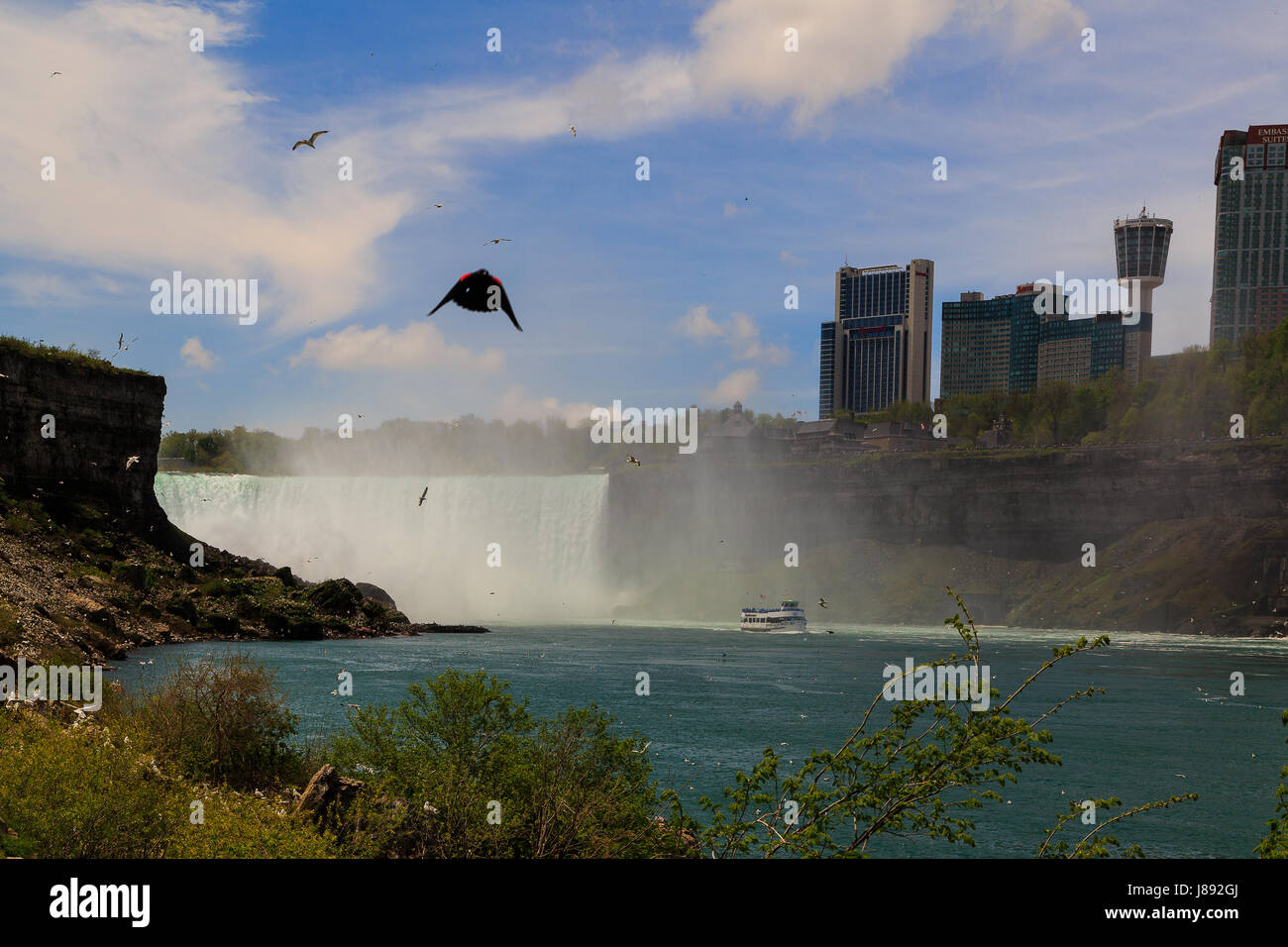 Côté américain de Niagara Falls NY, aller sur les ponts de la Grotte des vents sur une journée ensoleillée, vent. Les goélands de soleil avec la femme de chambre de la mi Banque D'Images