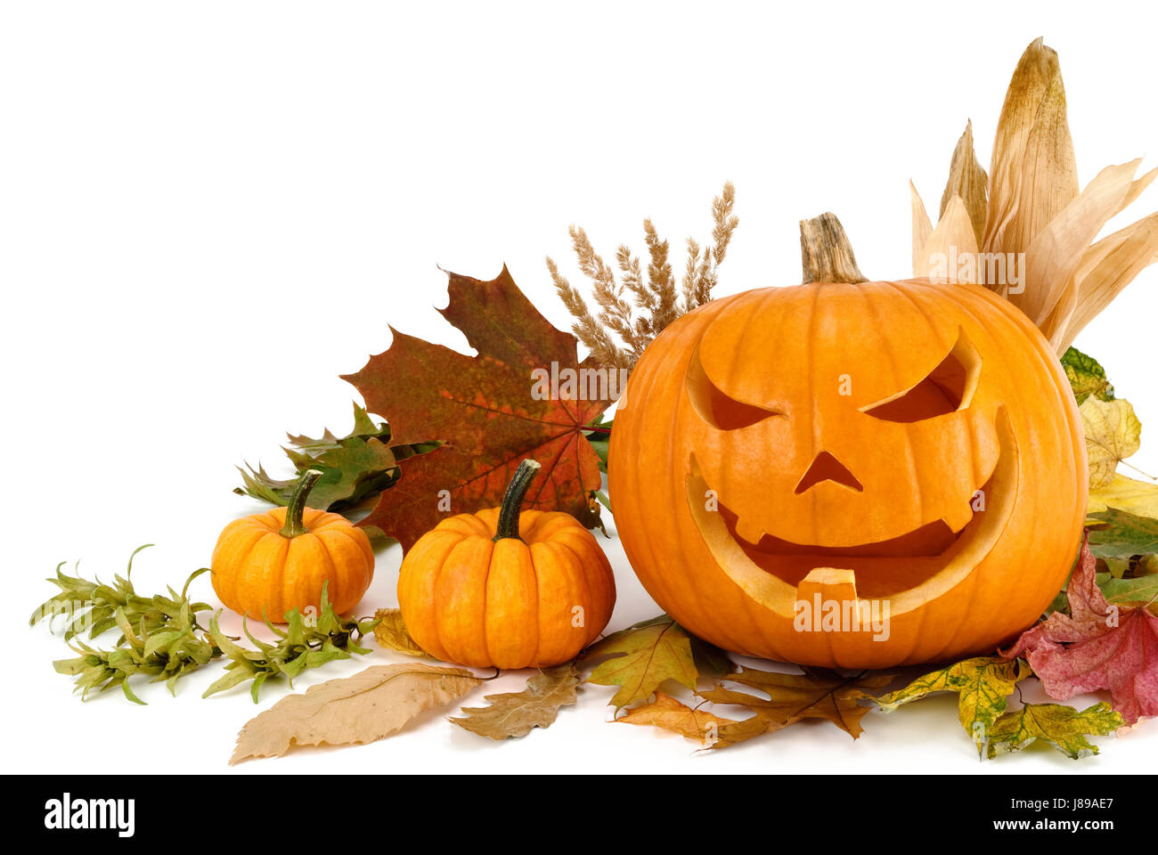 Arrangement d'halloween on white with copy space Banque D'Images