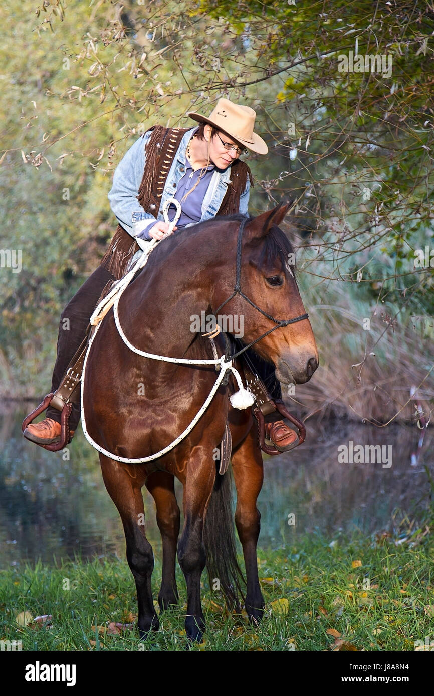 Femme, cheval, femme, arbre, balade, cheval, animal, animal, mammifère, le brouillard, la brume, humain, Banque D'Images