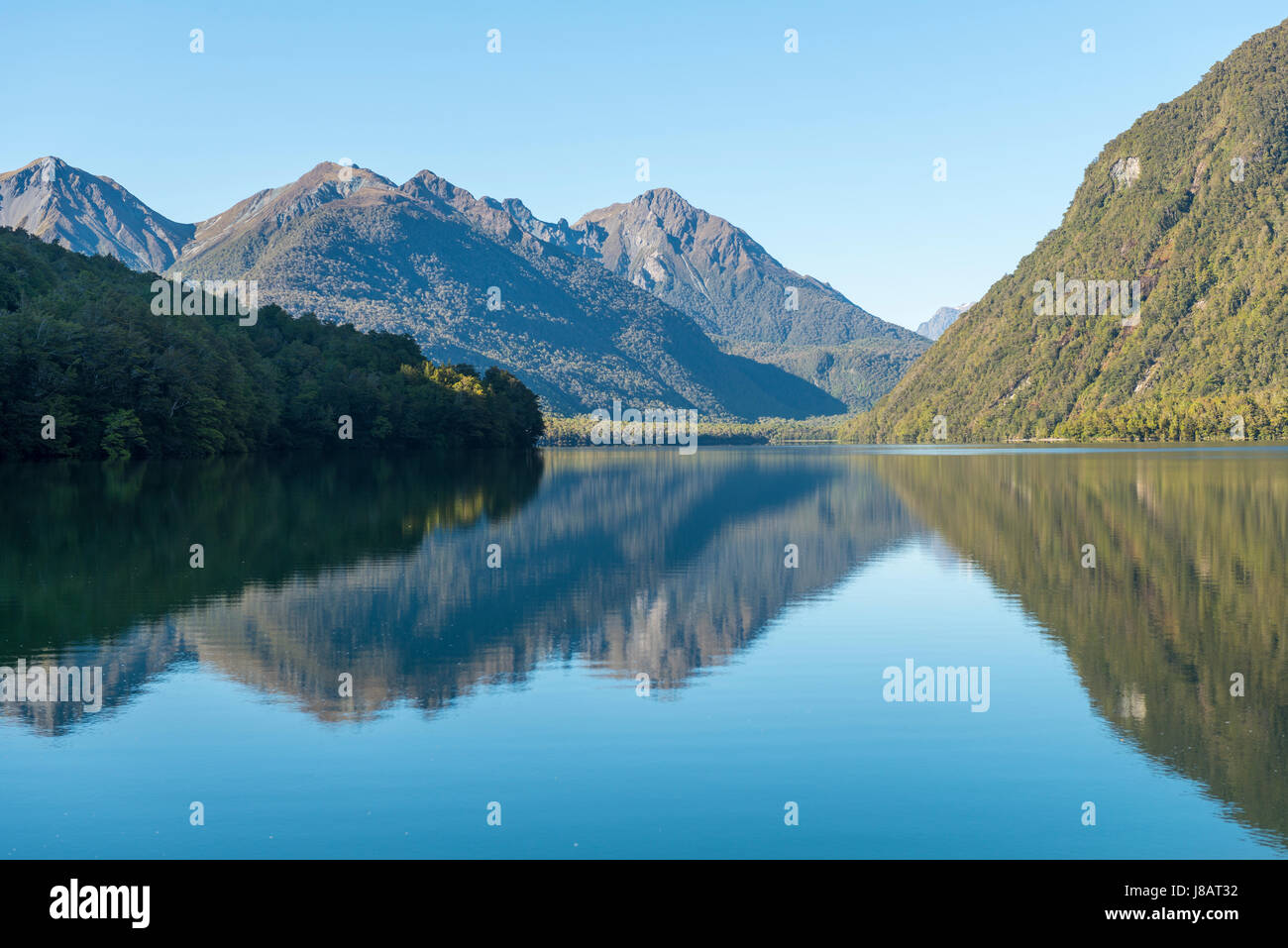 Lake Gunn, reflet dans le lac, Parc National de Fiordland, Southland, île du Sud, Nouvelle-Zélande Banque D'Images