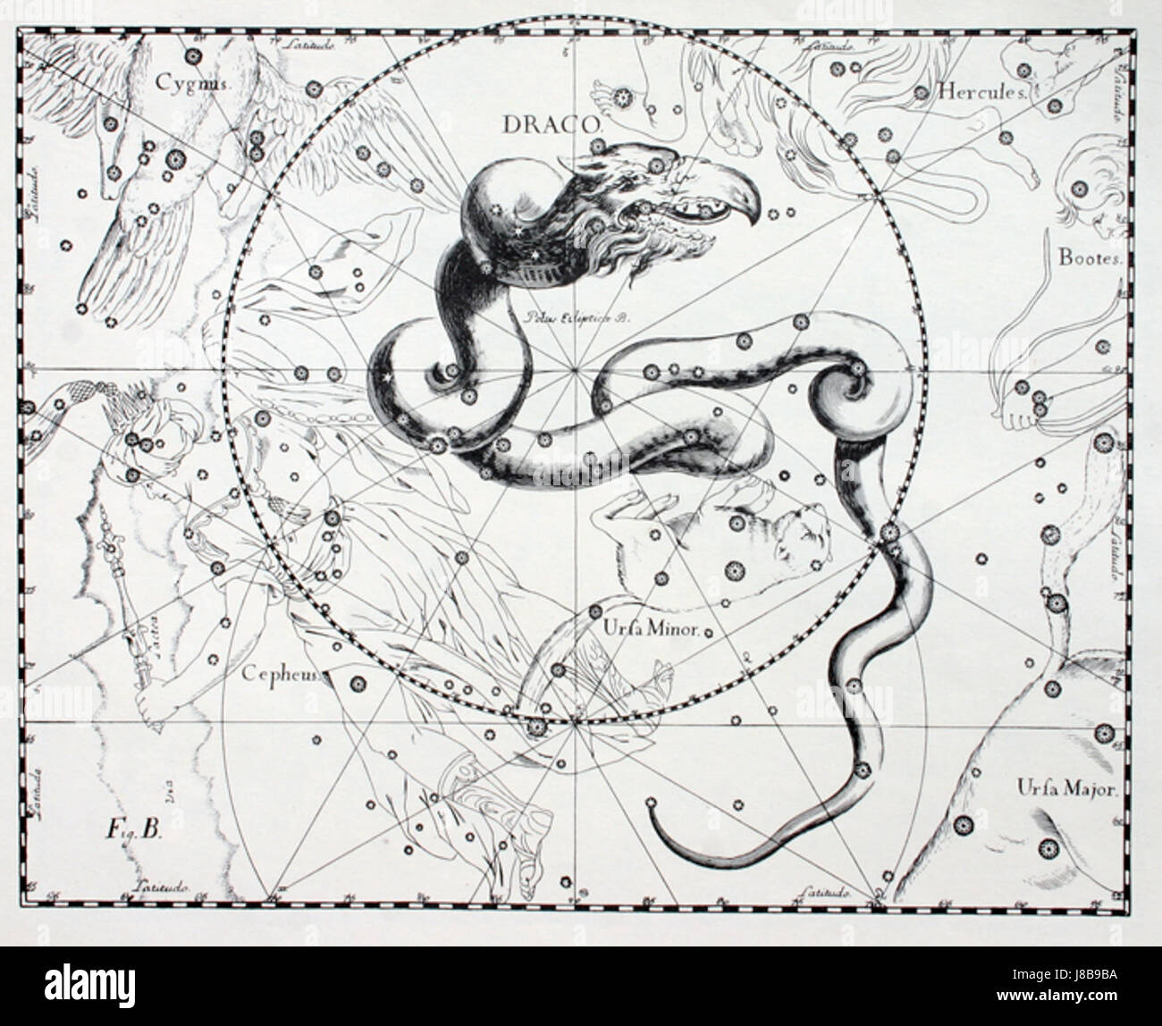Draco Hevelius fait référence à la constellation de Draco, qui a été cataloguée par l'astronome Johannes Hevelius au XVIIe siècle. Il reste une partie importante de l'astronomie moderne en tant que partie du ciel du nord. Banque D'Images
