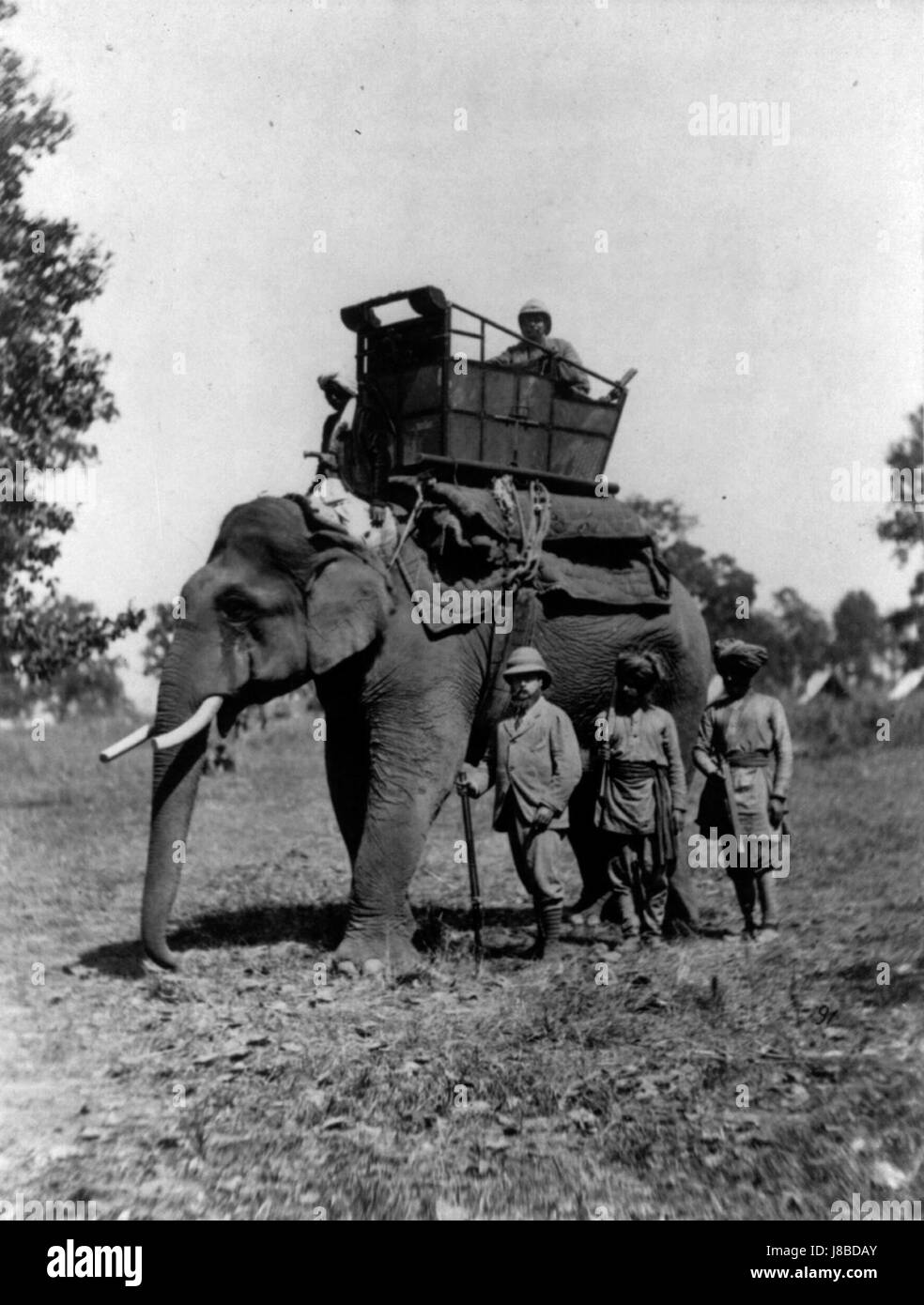 Cette image historique montre Édouard, prince de Galles, aux côtés d'un éléphant dans la région du Teraï. L'image met en évidence l'implication royale britannique de l'époque coloniale dans la faune et l'exploration. Banque D'Images