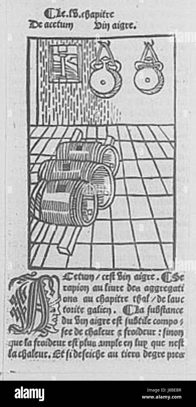 Fermentation du vinaigre désigne le processus de fermentation du vinaigre, où les bactéries de l'acide acétique convertissent l'alcool en acide acétique. Ce processus est essentiel dans la production de différents types de vinaigre, un ingrédient clé dans la conservation et l'aromatisation des aliments. Banque D'Images