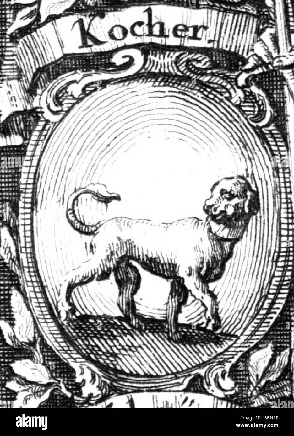 Kantonkocher Banque D'Images