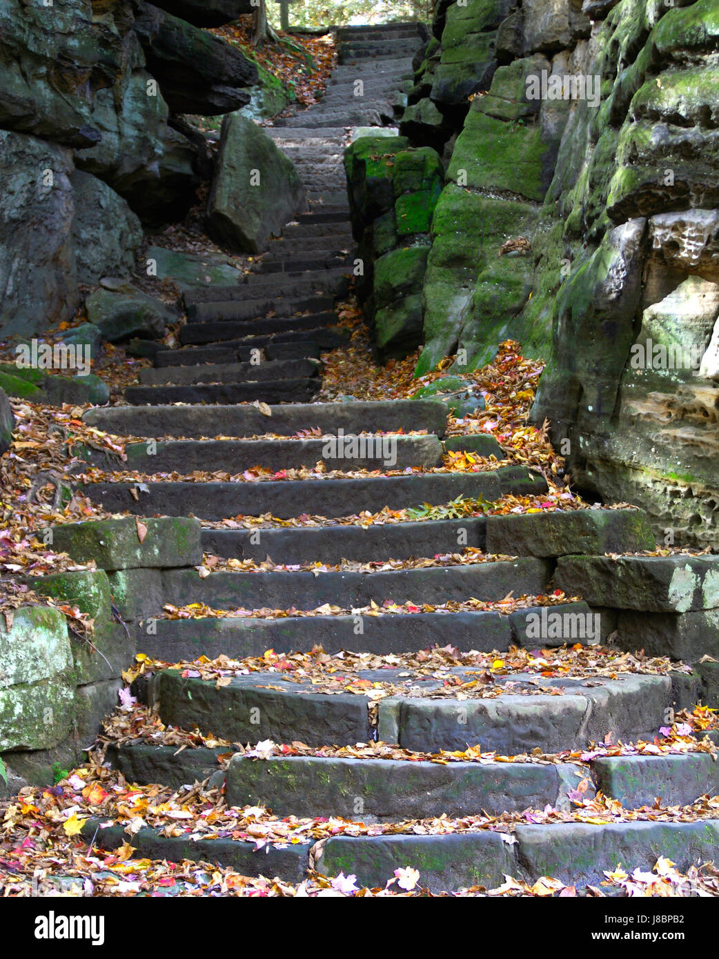 Escaliers, pierre, raide, sinueux, automne, automne, marches, escaliers, feuille, pierre, vert, Banque D'Images
