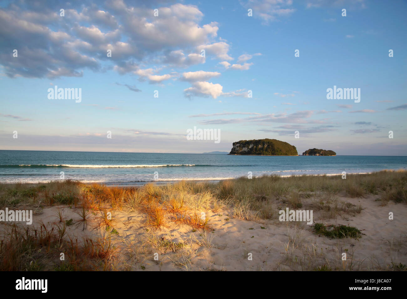 Plage, mer, la plage, mer, Nouvelle-Zélande, lumière du soir, isle, île, Banque D'Images