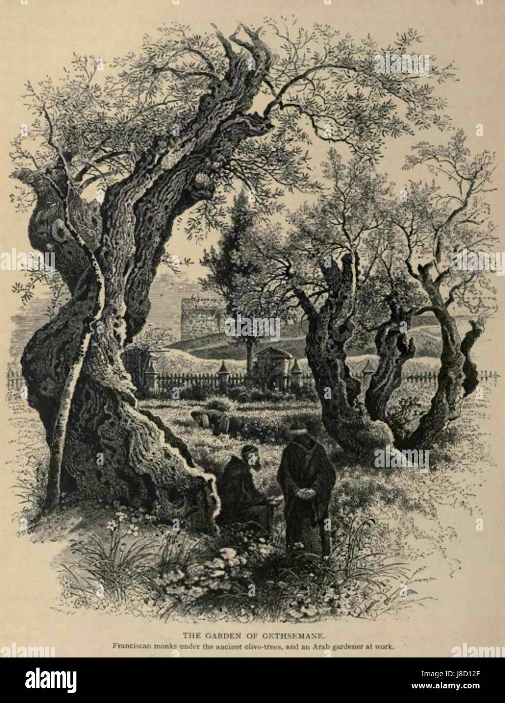 Jérusalem gethsemane 1880 Banque D'Images