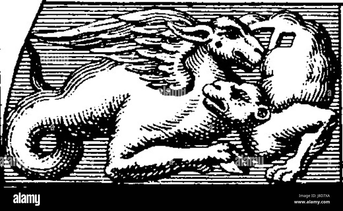 Cette référence fait référence à l'ouvrage 'flamel deux dragons', qui pourrait impliquer la figure historique ou légendaire Nicolas Flamel, éventuellement liée à l'alchimie ou à la mythologie, à l'image de deux dragons. Banque D'Images