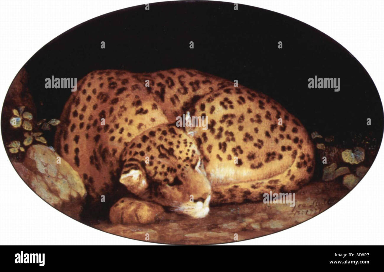 George Stubbs 011 Banque D'Images