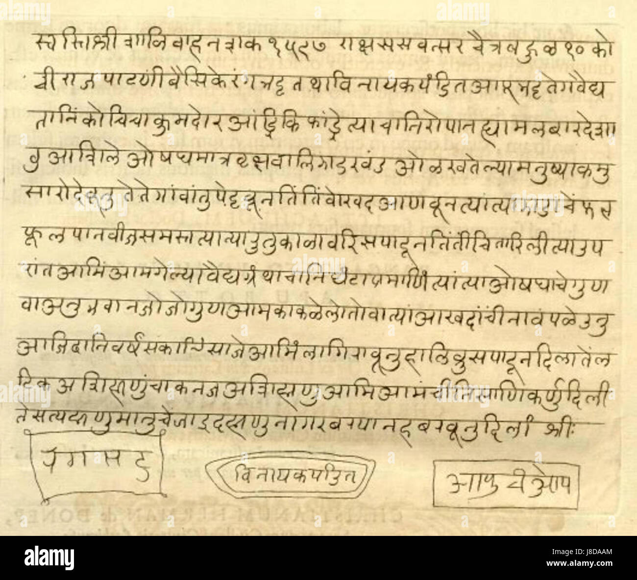 Publication ou référence botanique, portant éventuellement sur un jardin ou une collection de plantes, présentant diverses espèces végétales et des connaissances horticoles. Banque D'Images