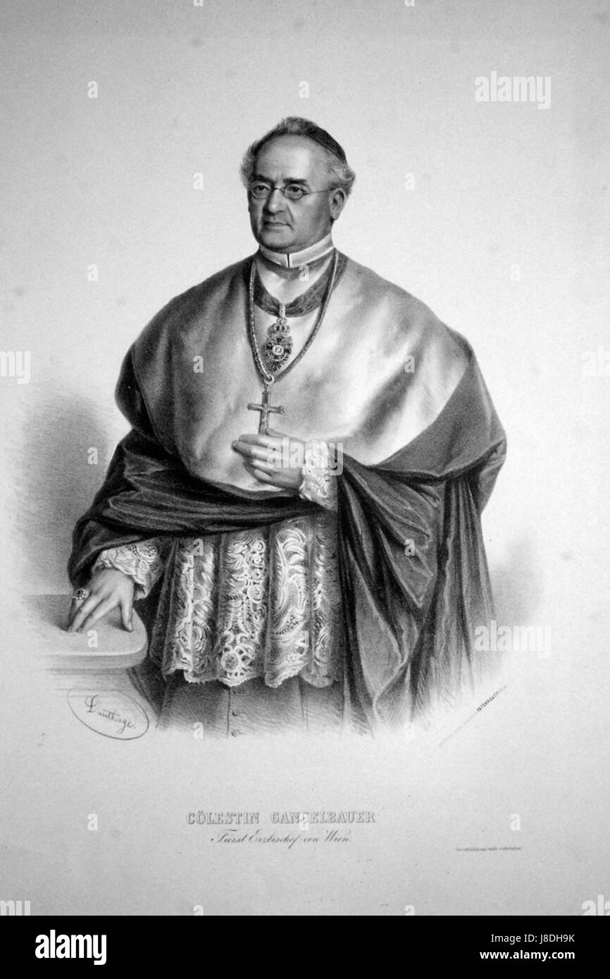 Ganglbauer était un entomologiste connu pour ses études sur les insectes, en particulier ceux trouvés en Europe centrale. Ses contributions dans le domaine de l'entomologie ont contribué à approfondir les connaissances sur les espèces d'insectes européens. Banque D'Images