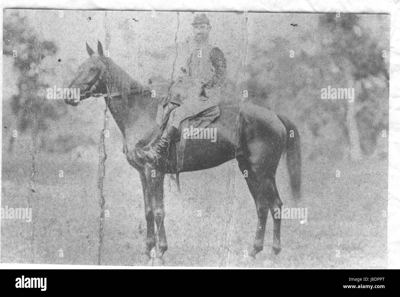 Cette photographie du roi Alfred à cheval capture l'image emblématique du roi anglais médiéval. Il met en lumière son leadership et le contexte historique de son règne au IXe siècle. Banque D'Images