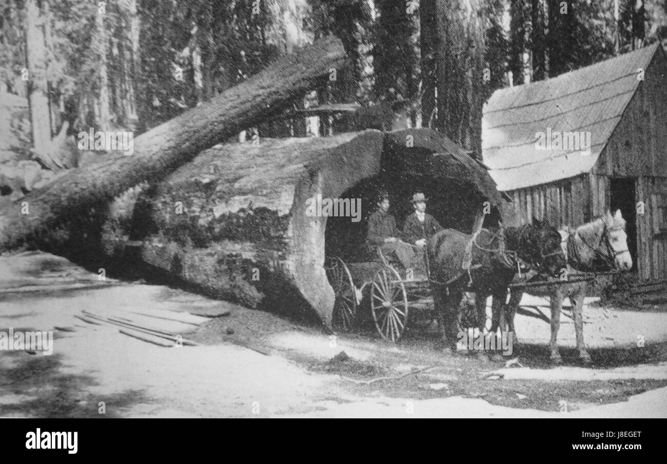 Journal creux Balch Park Banque D'Images