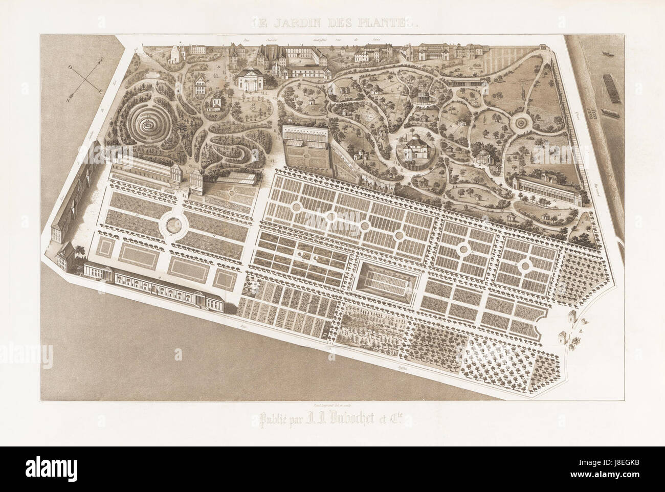 Le jardin des plantes est un jardin botanique renommé situé à Paris, en France. Paul Legrand, probablement le photographe, capture sa végétation luxuriante et sa riche biodiversité dans cette image. Banque D'Images