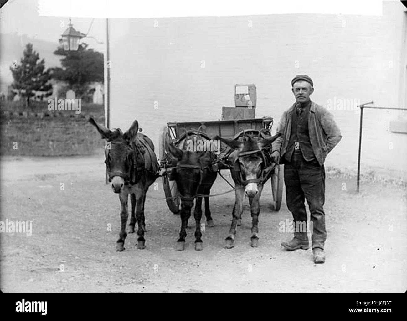 Cette image représente un porteur de Llanfair accompagné d'ânes. La scène est probablement une représentation historique des méthodes de transport rural à Llanfair, montrant l'utilisation des ânes comme animaux de meute pour le transport de marchandises. Banque D'Images Cette image représente un porteur de Llanfair accompagné d'ânes. La scène est probablement une représentation historique des méthodes de transport rural à Llanfair, montrant l'utilisation des ânes comme animaux de meute pour le transport de marchandises. Banque D'Images