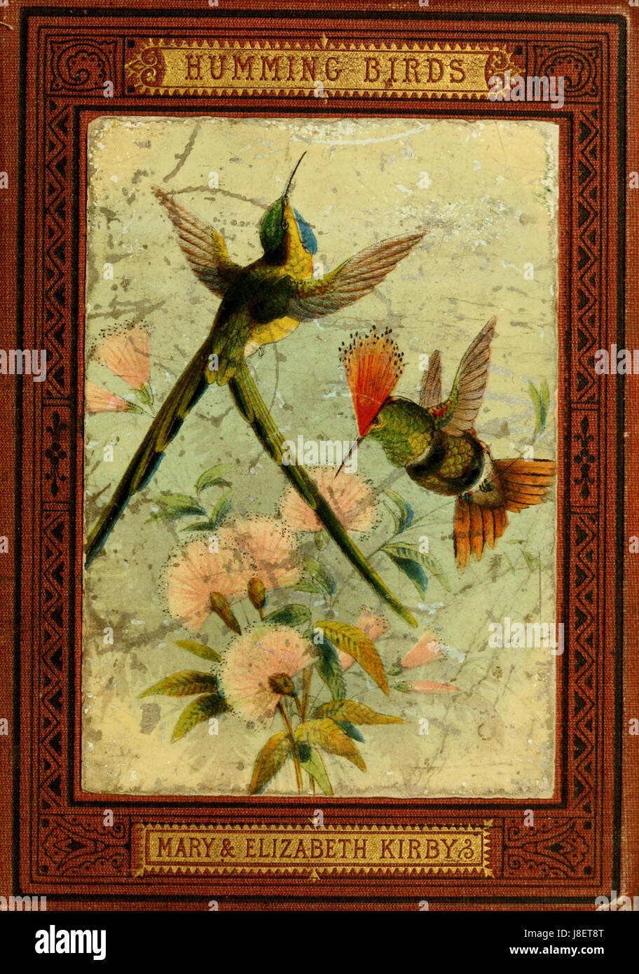 La couverture du livre de 'colibris' de Mary et Elizabeth Kirby met en valeur la beauté complexe de ces petits oiseaux. Connus pour leur vol rapide et leur plumage coloré, les colibris sont réputés pour leur agilité remarquable et leurs couleurs éclatantes. Banque D'Images