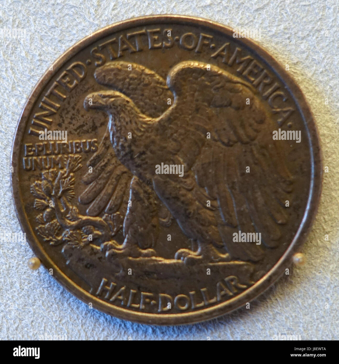 La moitié du dollar, United States of America, 1921 Musée Bode DSC02644 Banque D'Images