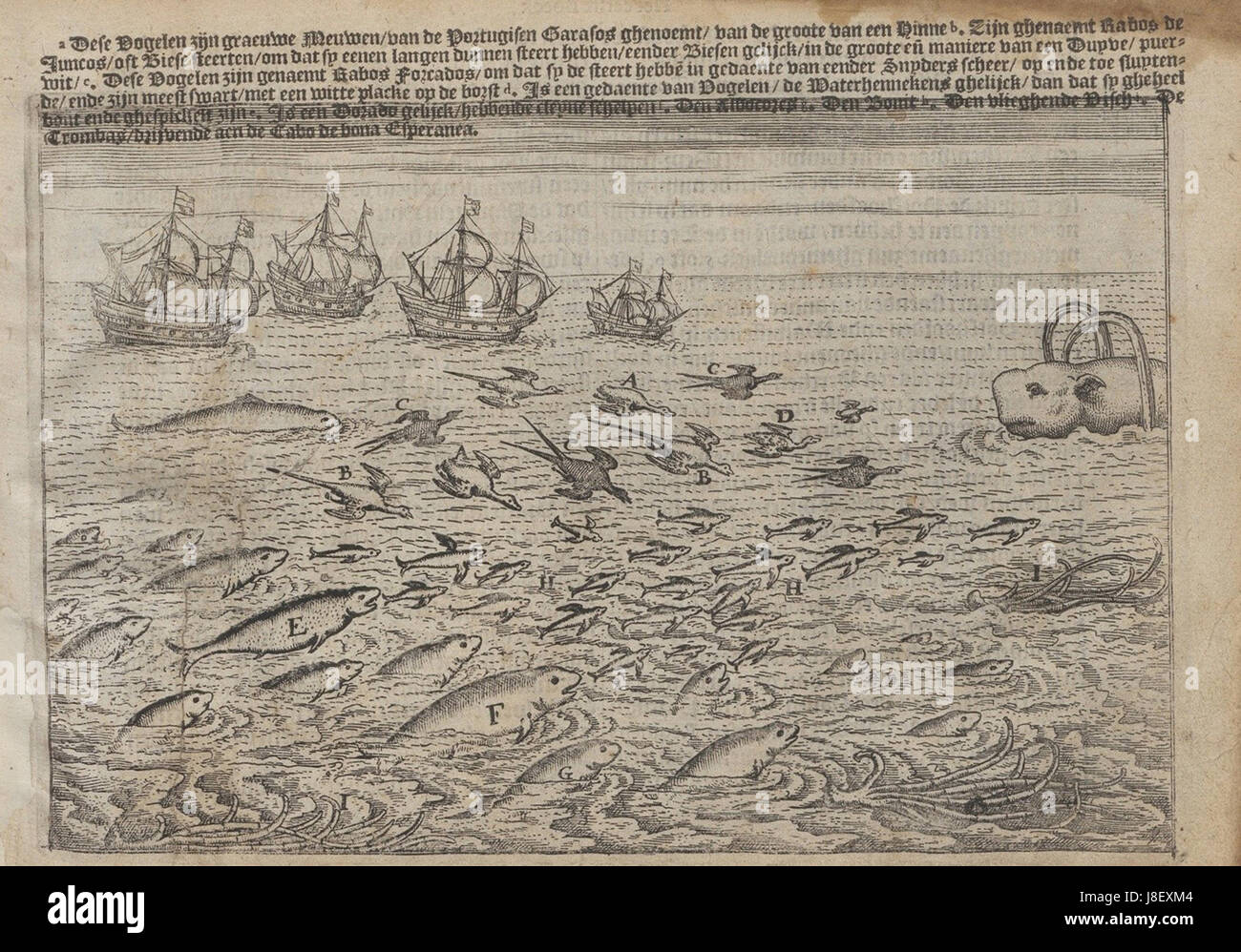 L'Historie van Indien de Lodewijcksz est un ouvrage de 1617 détaillant l'histoire de l'Inde, conservé à la bibliothèque de l'Université Radboud à Nimègue. L'œuvre offre un aperçu des vues européennes du XVIIe siècle sur l'Inde. Banque D'Images