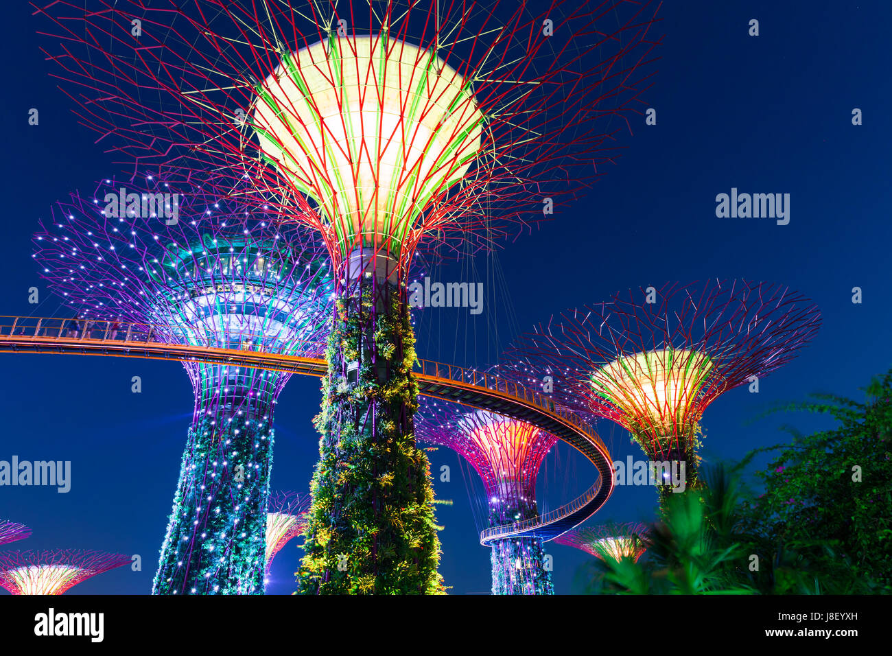 Singapour - Février 17, 2016 : Super Spectacle Léger à Rhapsody Tree Grove, jardins de la baie, à Singapour, le 17 février 2016. Banque D'Images