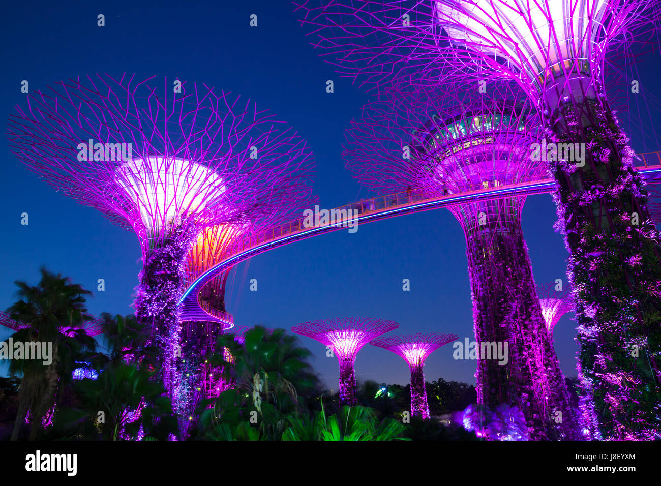 Singapour - Février 17, 2016 : Super Spectacle Léger à Rhapsody Tree Grove, jardins de la baie, à Singapour, le 17 février 2016. Banque D'Images