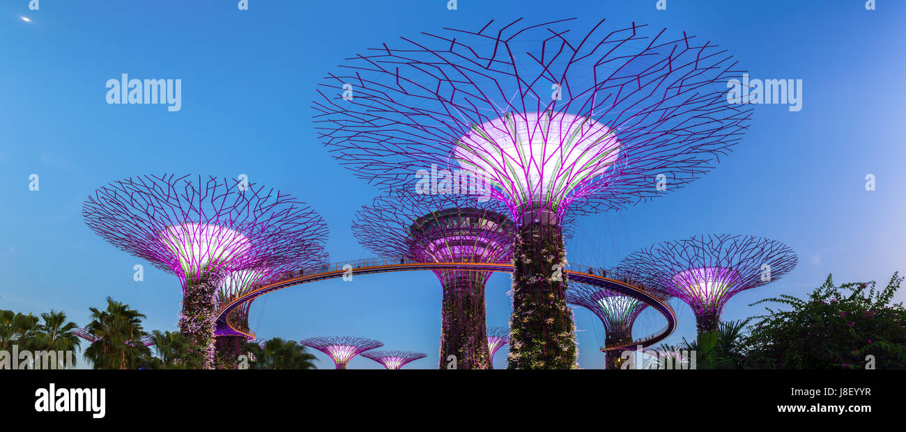Singapour - Février 17, 2016 : Super Tree Grove Gardens, panorama de la baie, à Singapour le 17 février 2016. Banque D'Images