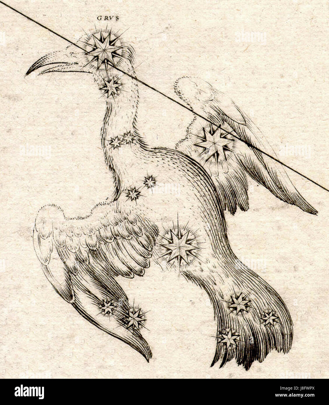 Johann Bayer Uraniometria Grus Banque D'Images