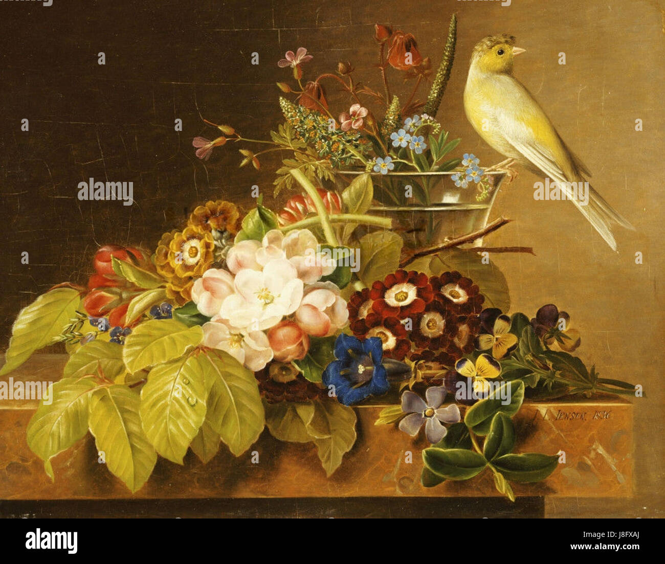 Cette œuvre de Johan Laurentz Jensen présente une nature morte de fleurs telles que Sweet William et Forget me Not, aux côtés d'un convulvus et d'un canari perché sur une corniche. La peinture met en valeur les compositions florales détaillées de Jensen. Banque D'Images