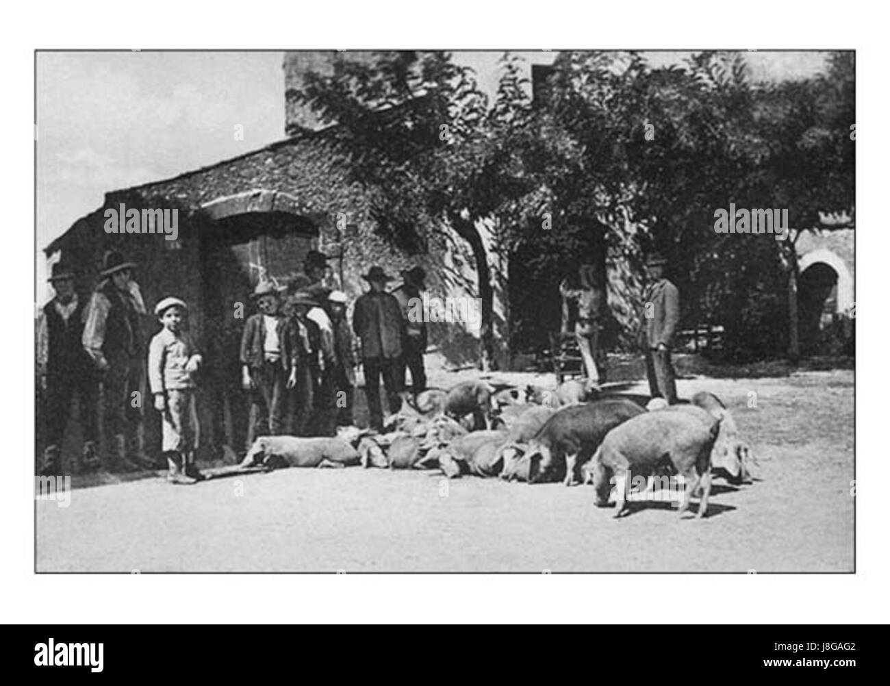 Ferentino, une ville du centre de l'Italie, est connue pour son importance historique et ses foires traditionnelles. Le 'Largo Ambrogiano' est un endroit remarquable dans la ville, souvent associé à sa célèbre foire aux cochons, ou 'fiera dei maiali', qui fait partie de la culture locale depuis des siècles. Banque D'Images