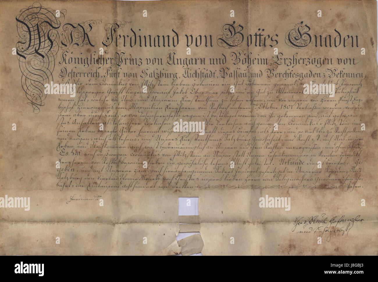 Ce portrait historique de 1831 représente Ferdinand, capturant les traits distinctifs du style artistique de l'époque et offrant un aperçu de la culture et de la mode du début du XIXe siècle. Banque D'Images