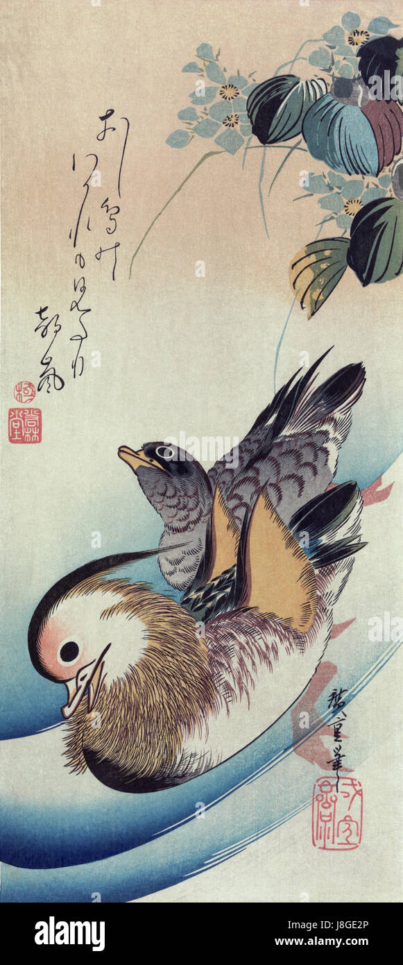 Cette gravure sur bois représente une paire de canards mandarins, symbole de fidélité conjugale et d'amour dans la culture chinoise. L'œuvre reflète l'utilisation des techniques de gravure sur bois dans l'art traditionnel d'Asie de l'est, mettant en valeur les détails complexes des canards et leur signification symbolique. Banque D'Images