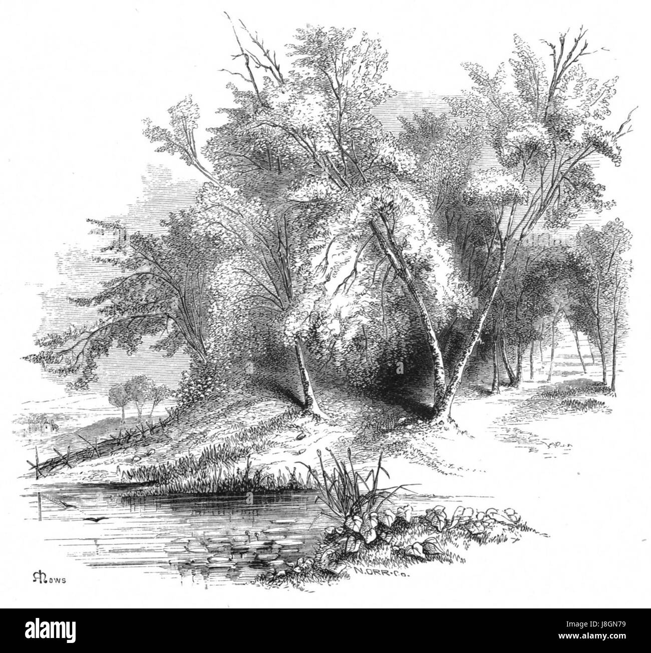 'Forest Hymn' est une œuvre littéraire ou musicale, la référence à la page 27b indiquant probablement une section spécifique du texte. Il célèbre le monde naturel, en se concentrant éventuellement sur les sons et les images des forêts dans un format poétique ou musical. Banque D'Images